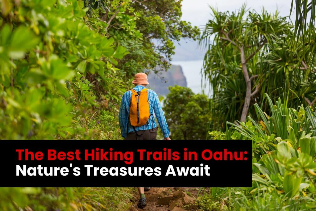 The Best Hiking Trails in Oahu Nature's Treasures Await